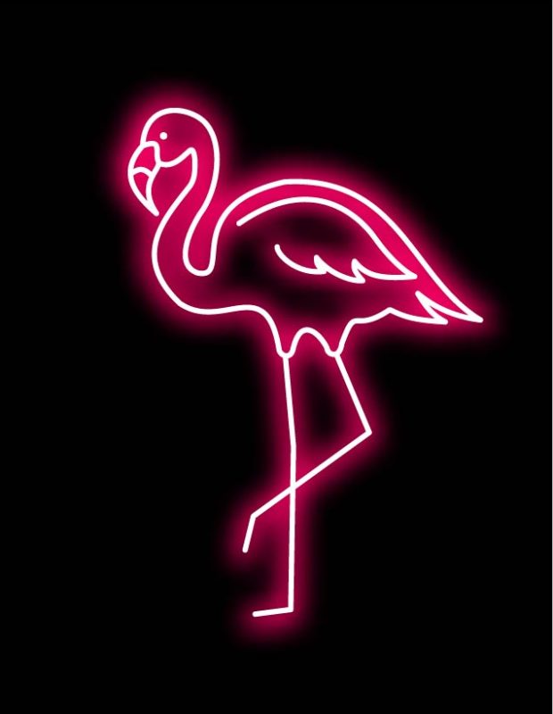 Friday Happy Hour: Flamingo Edition