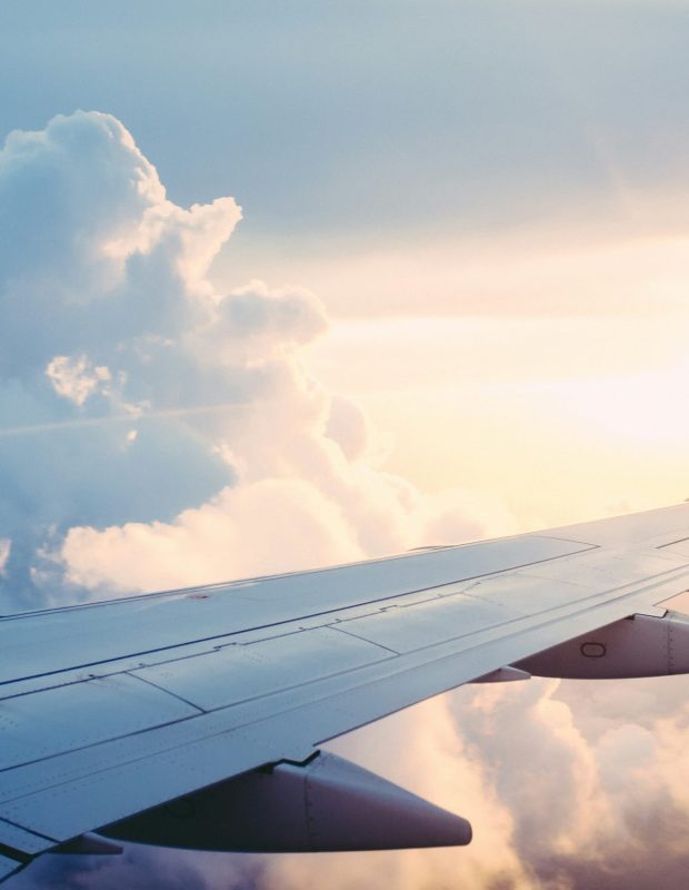 Investing in the Future: How Strategic Partnerships Support LVIA’s Record-Breaking Growth