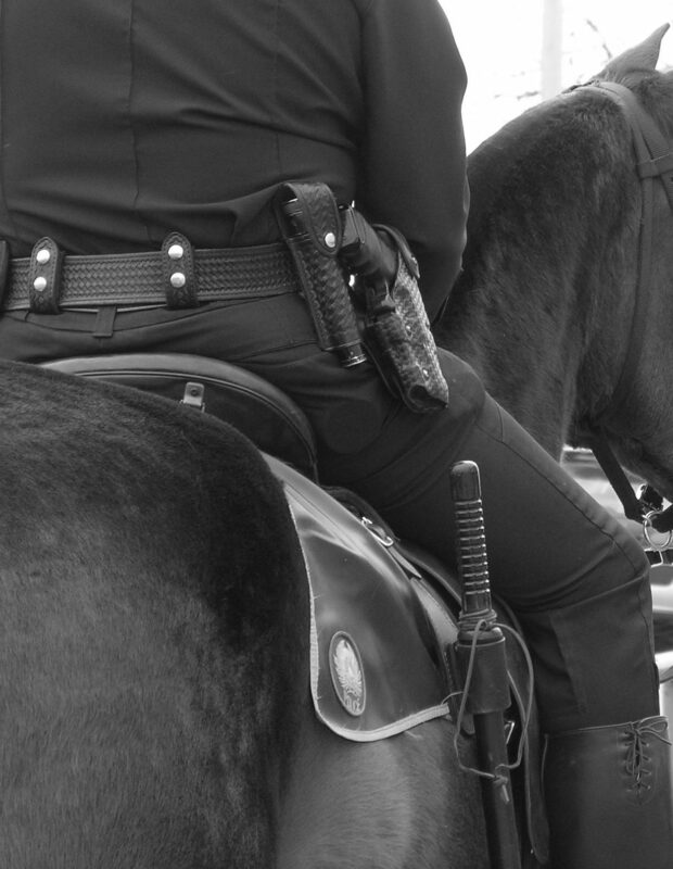 Friday Happy Hour:  Police Horse Edition